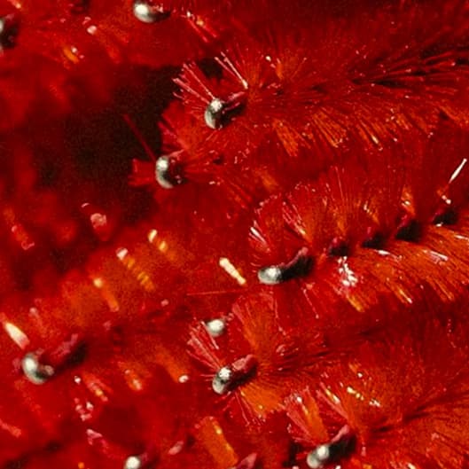 6 vitamin injections at Roots Aesthetic & Wellness LLC in McAllen, TX